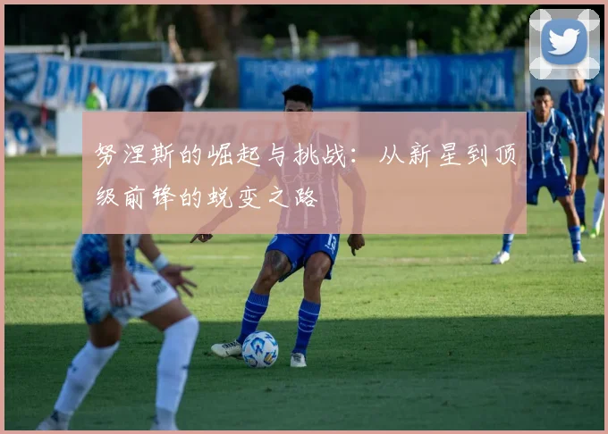努涅斯的崛起与挑战：从新星到顶级前锋的蜕变之路