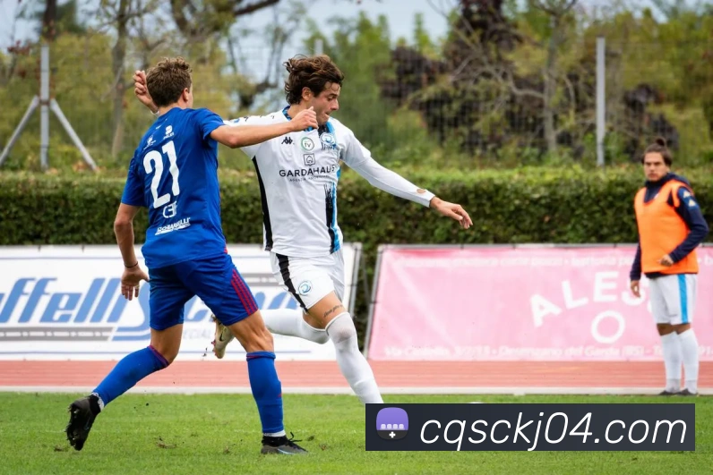 15vip太阳成品牌故事