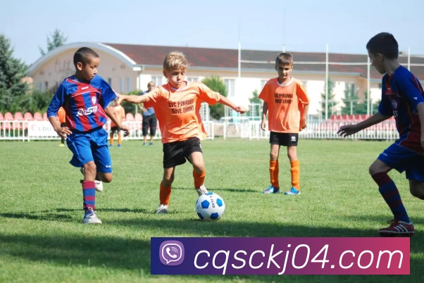 15vip太阳成服务体系